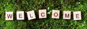 wood bricks spelling welcome